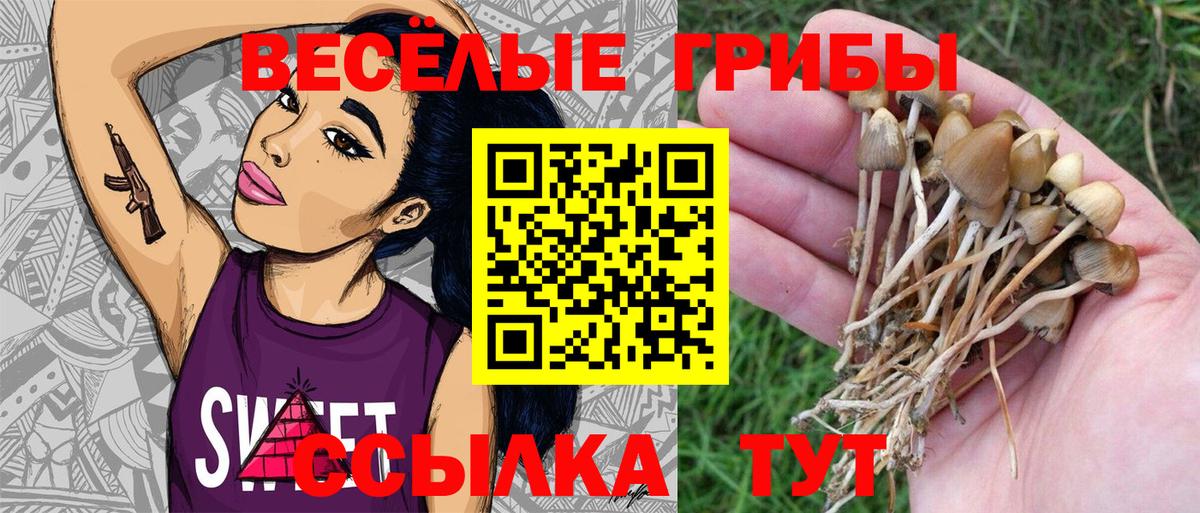 Псилоцибиновые грибы мицелий Тобольск
